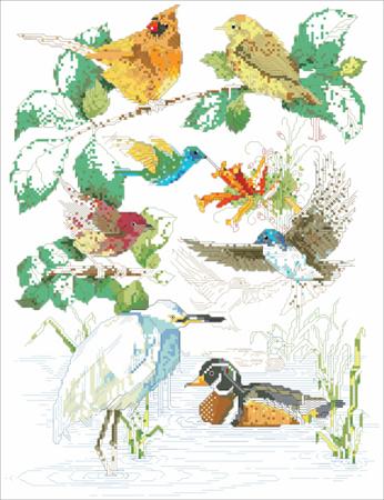 Bird Sampler